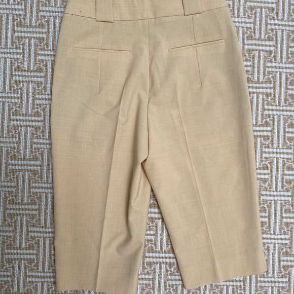 Lvir Wool-blend Shorts - Picture 4 of 6